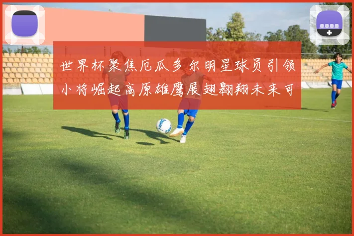 世界杯聚焦厄瓜多尔明星球员引领小将崛起高原雄鹰展翅翱翔未来可期
