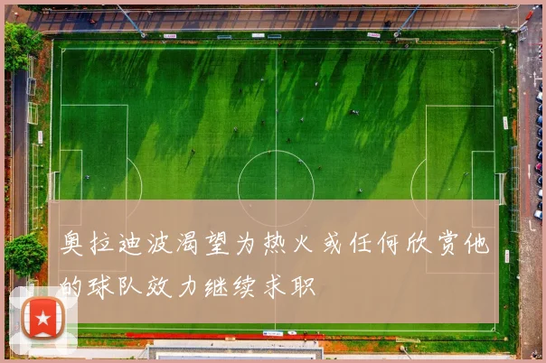 奥拉迪波渴望为热火或任何欣赏他的球队效力继续求职