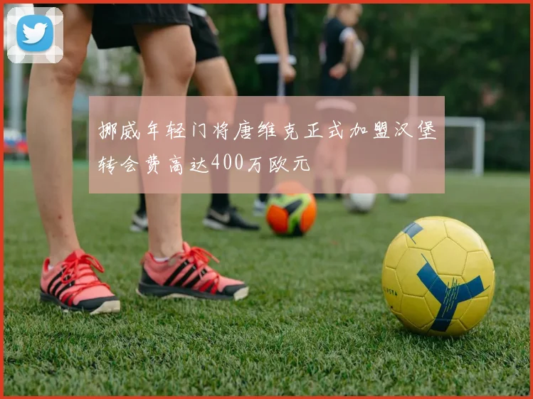 挪威年轻门将唐维克正式加盟汉堡转会费高达400万欧元